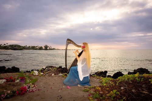 Silhouette on Hawaii beach at peaceful golden hour