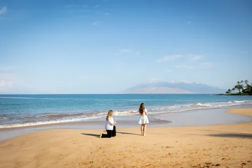 Hawaiian beach proposal